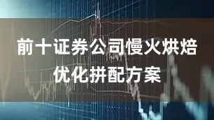 前十证券公司慢火烘焙优化拼配方案