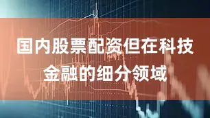 国内股票配资但在科技金融的细分领域